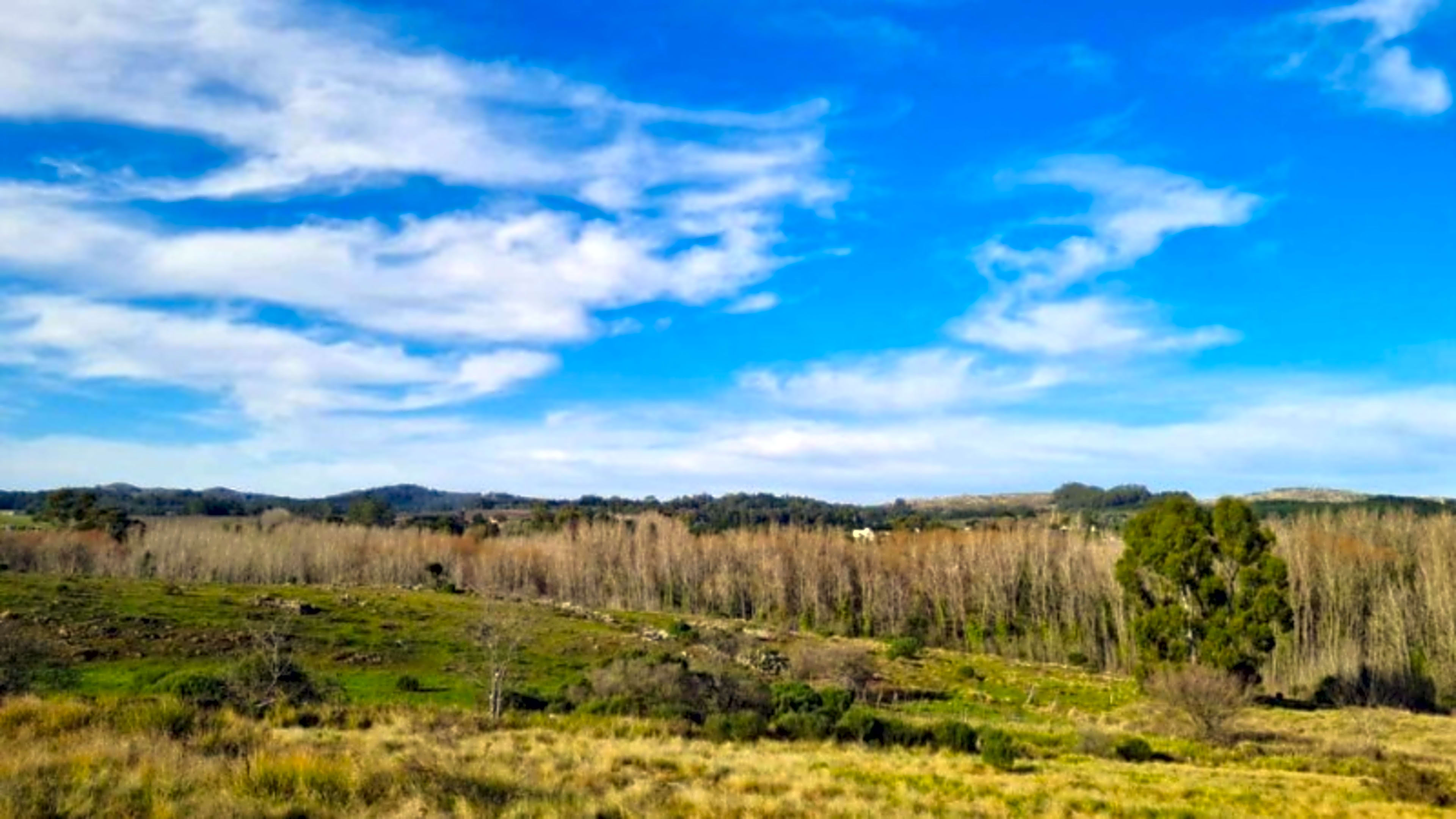 Propiedad en Tandil - Foto 4