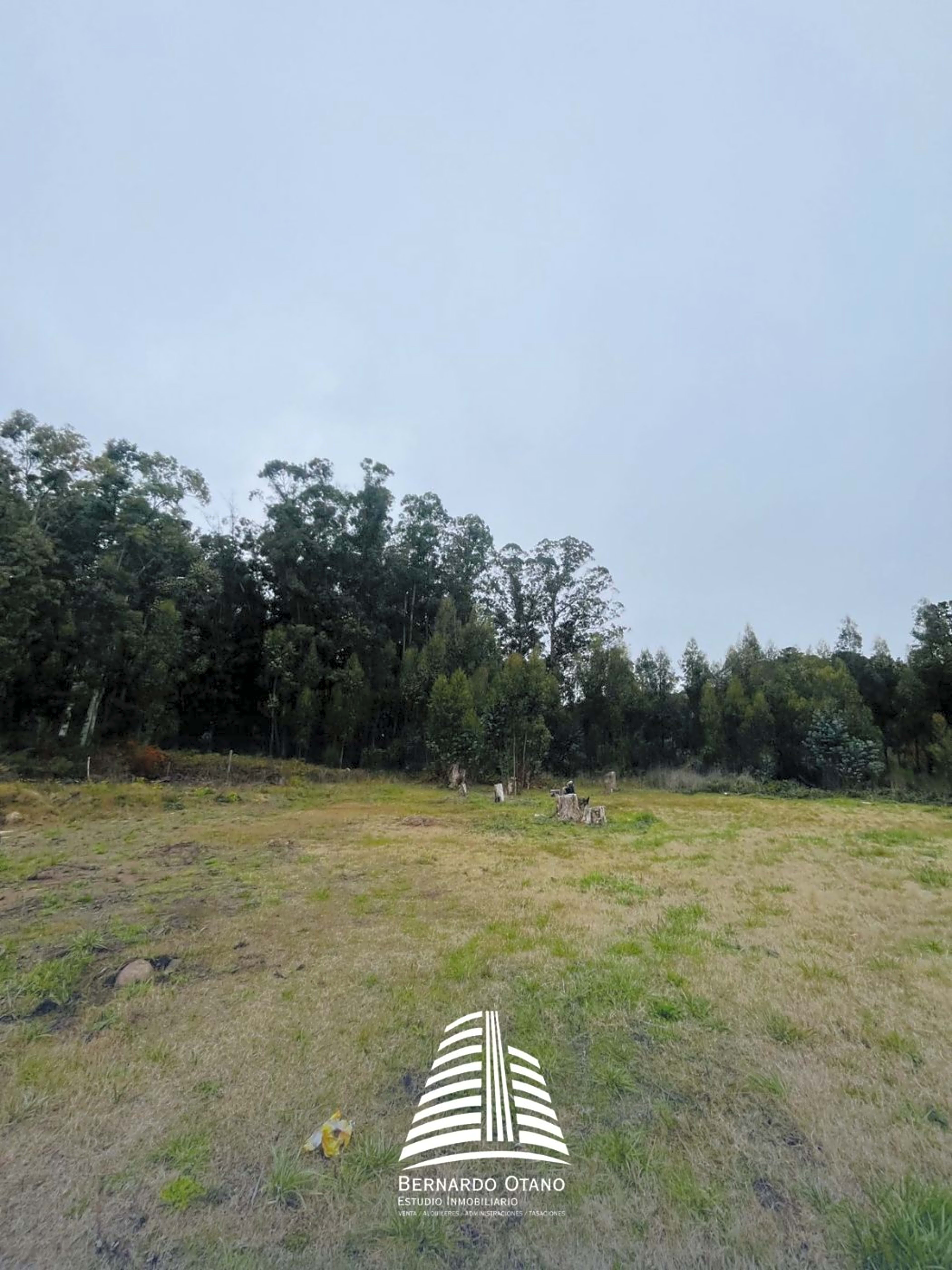 Propiedad en Tandil - Foto 2