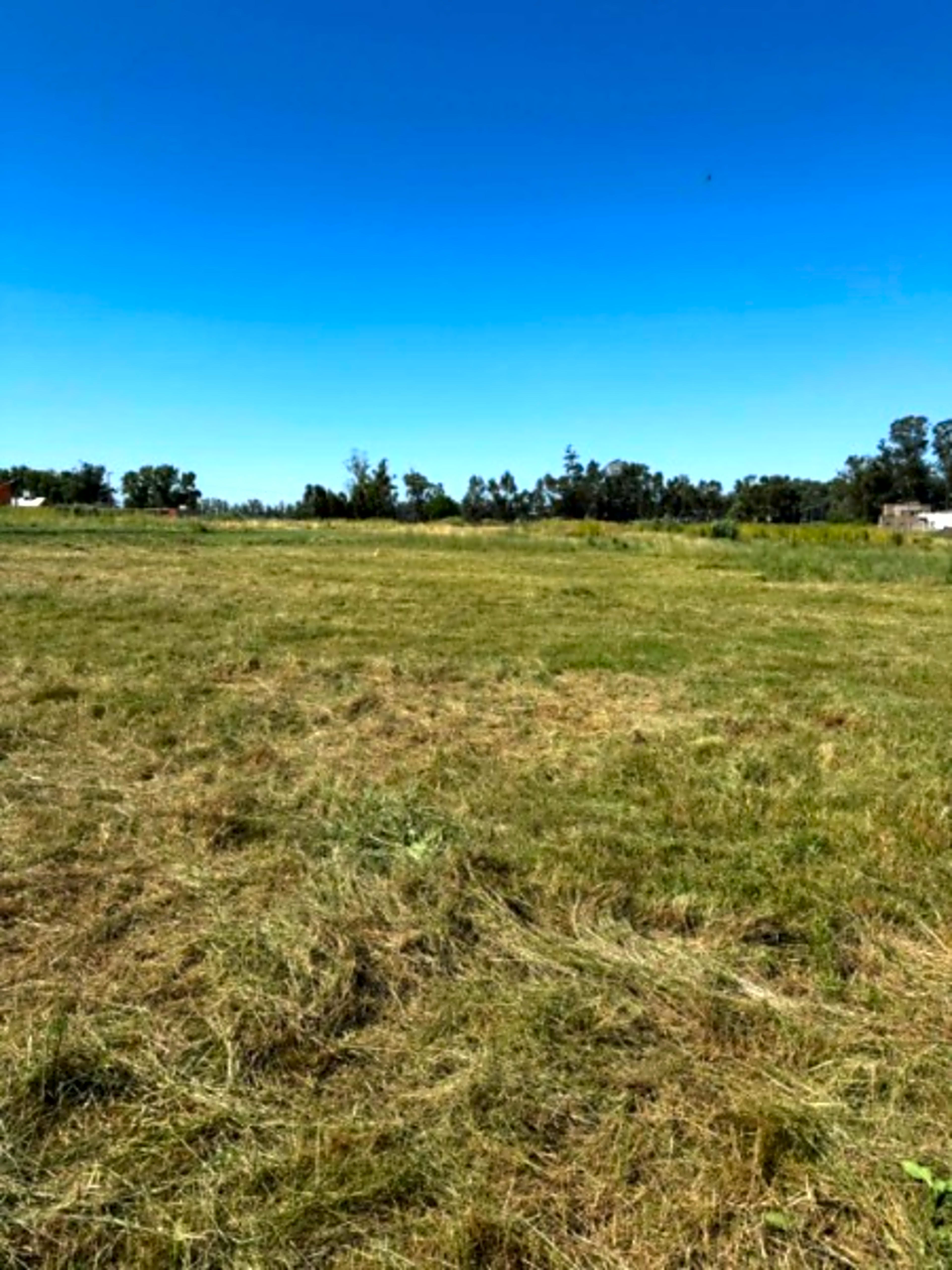 Imagen de San Francisco y Newton, Tandil