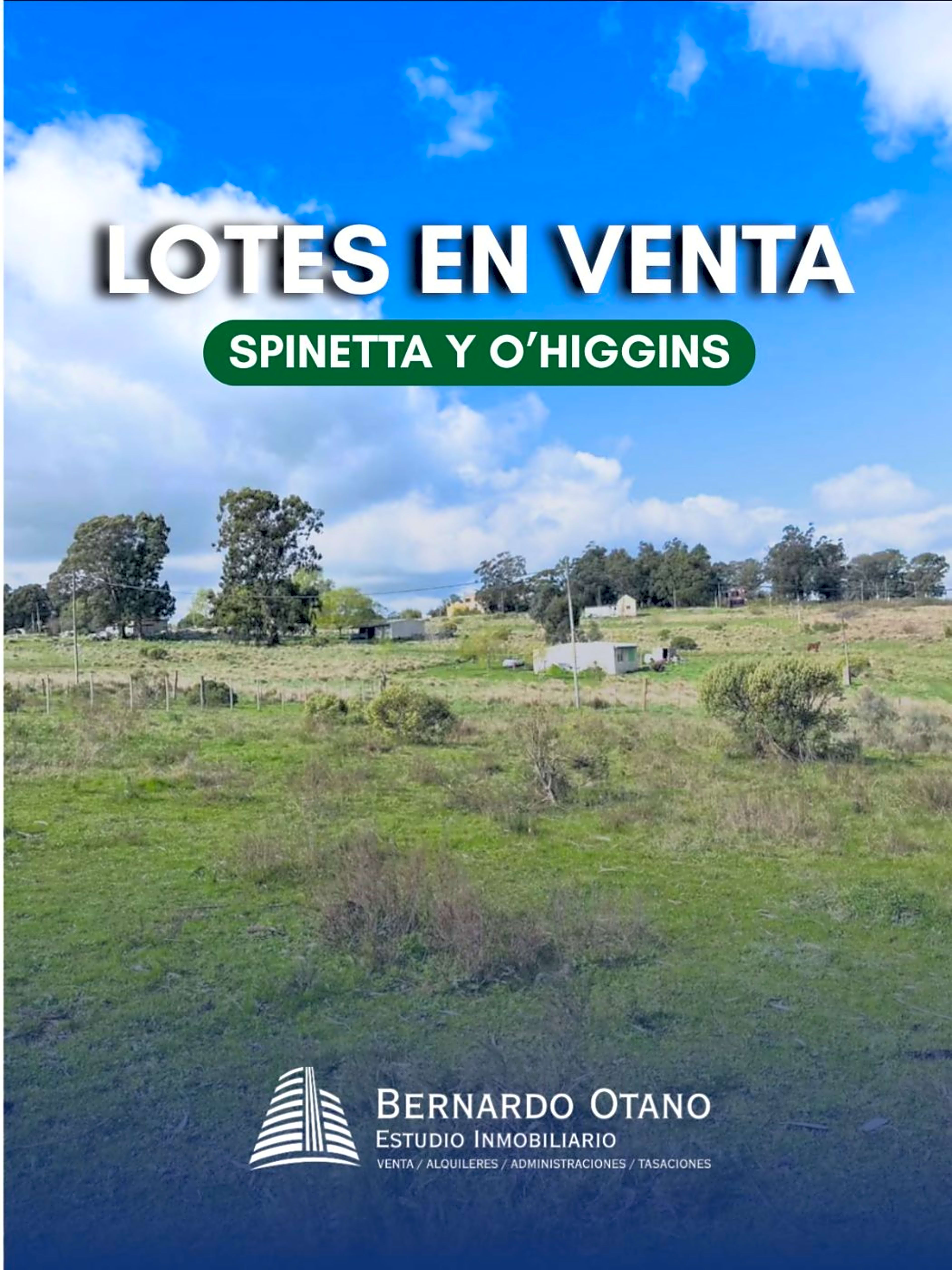 Propiedad en Tandil - Foto 1