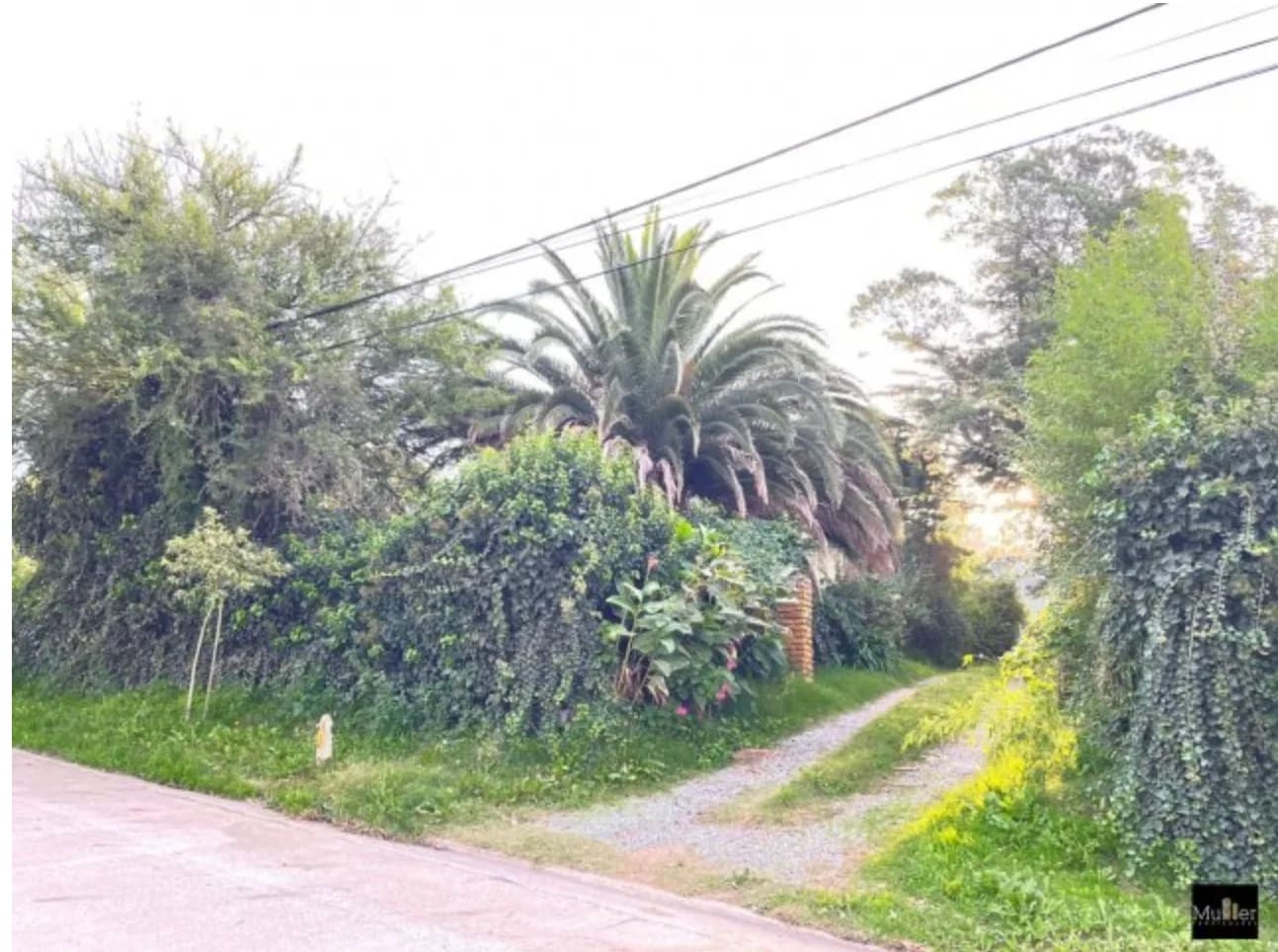 Imagen de Segundo Sombra 2600, Tandil