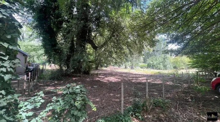 Imagen de Lanza de Basto 500, Tandil