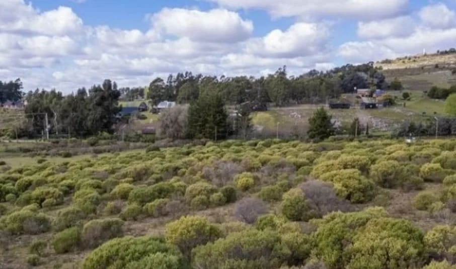 Imagen de Sierra del Tigre, Tandil