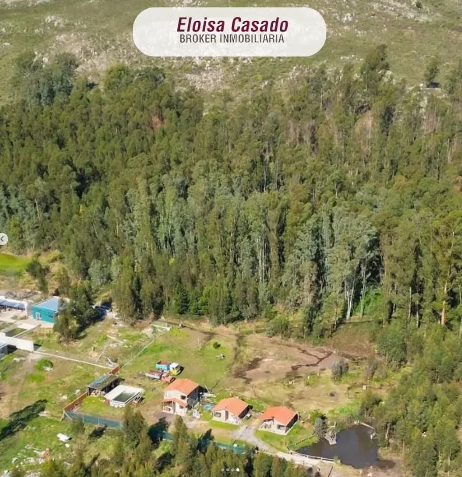 Propiedad en Tandil - Foto 4