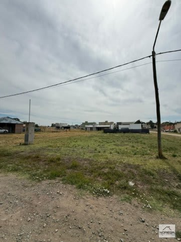 Imagen de Graduados, Tandil