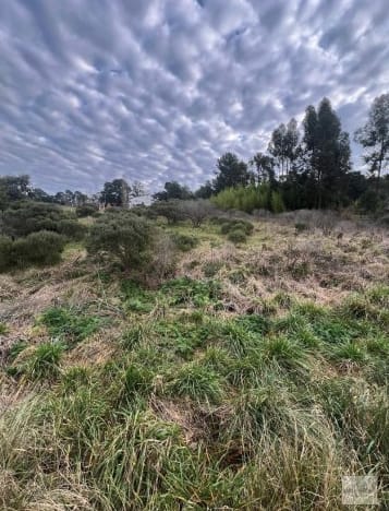 Propiedad en Tandil - Foto 2