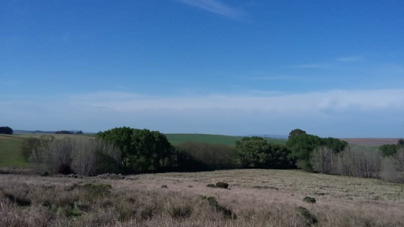 Propiedad en Tandil - Foto 2
