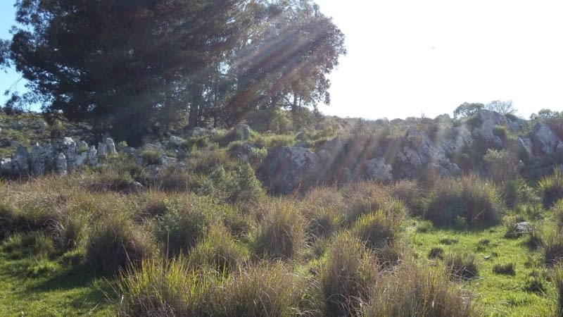 Propiedad en Tandil - Foto 9