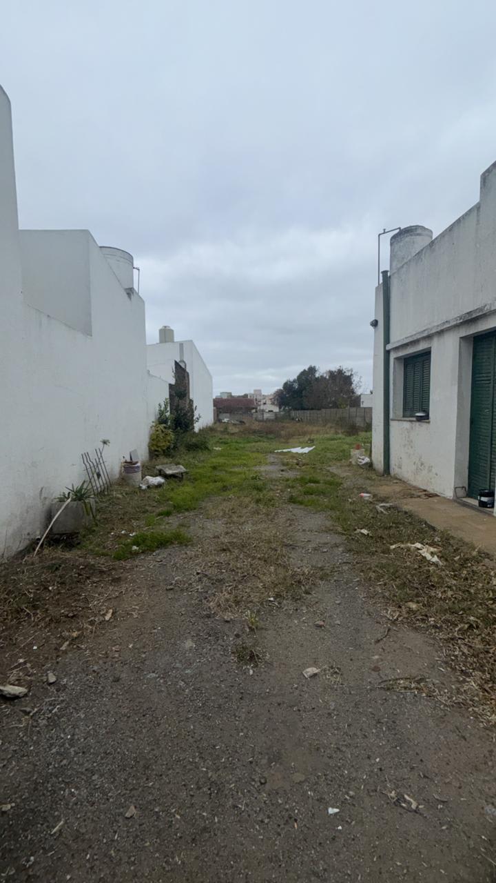 Imagen de Arana 155, Tandil