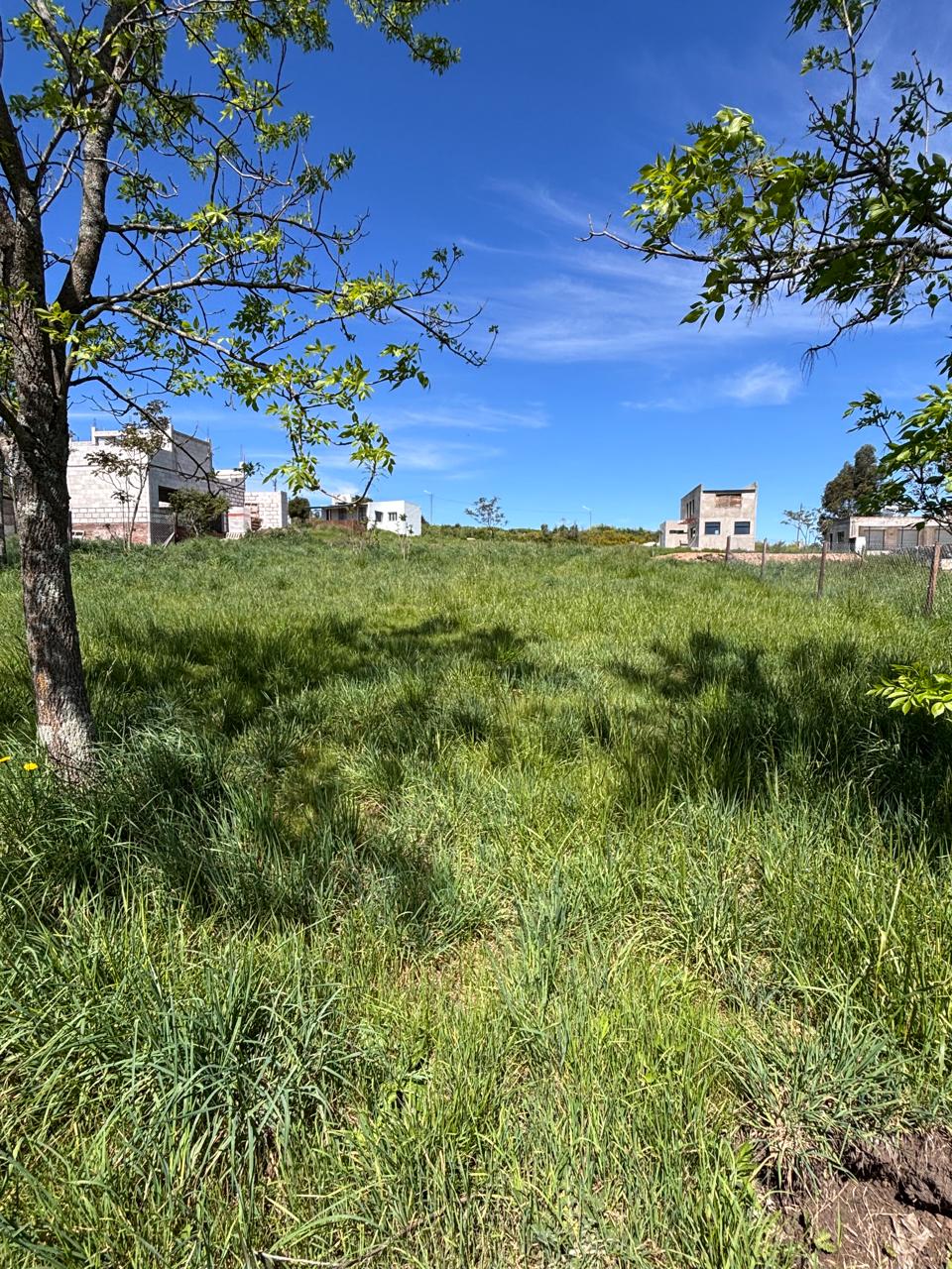 Propiedad en Tandil - Foto 2