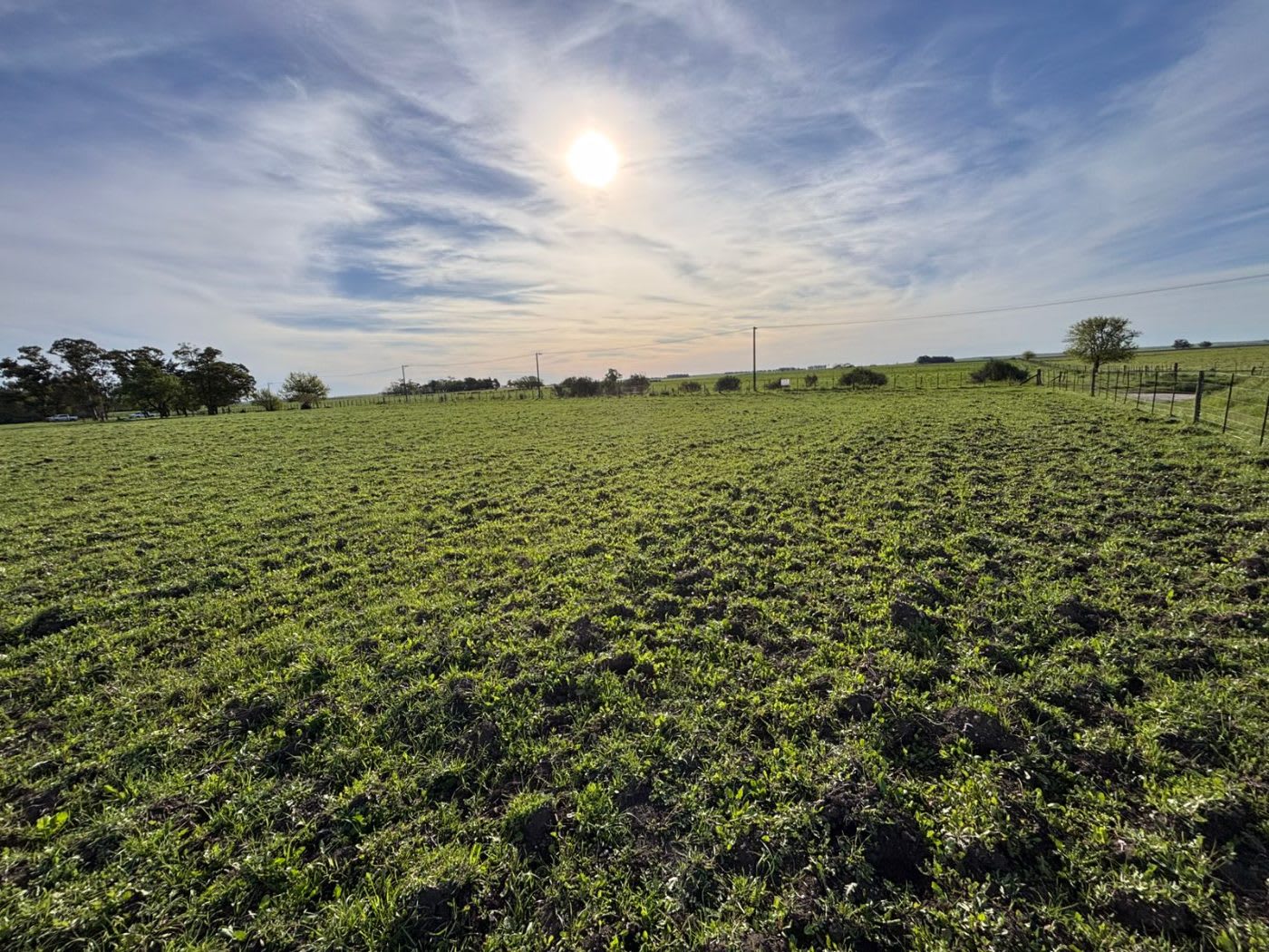 lote en Maria Ignacia Vela, , Tandil en venta a USD 43.000