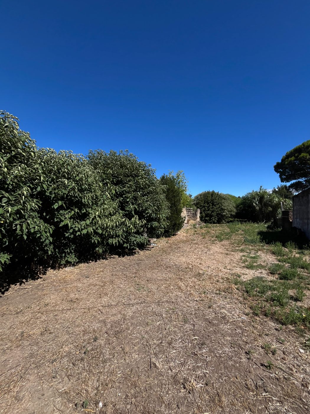 Propiedad en Tandil - Foto 2