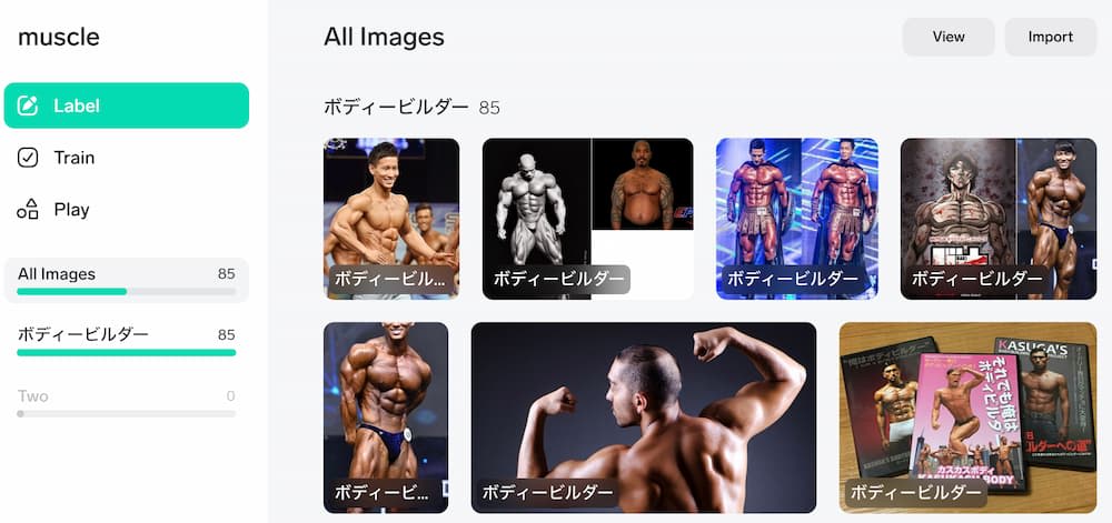 Microsoft Lobeが便利!写真の分類を簡単に可能。あなたのサイトにもAI導入