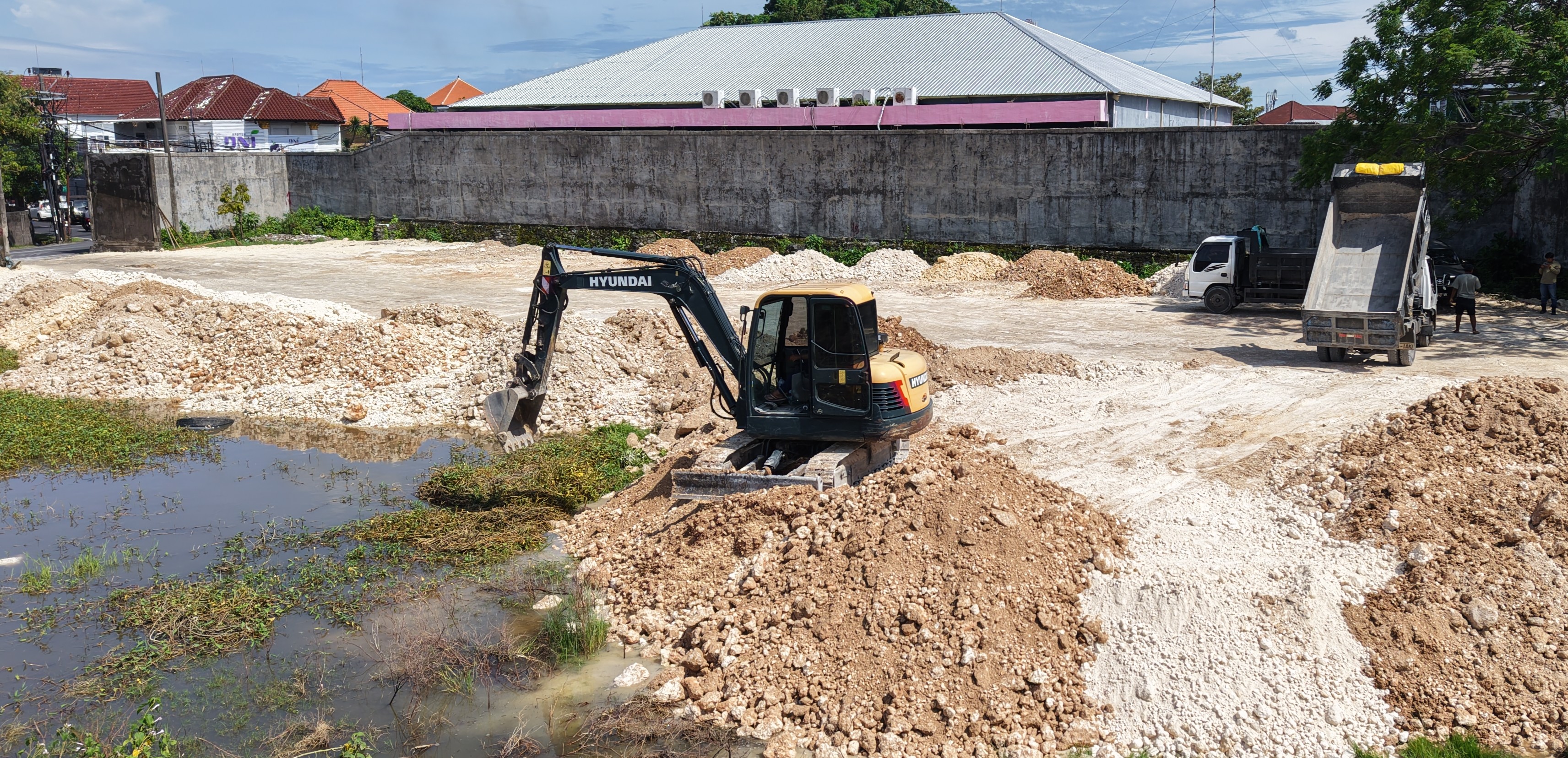 Exploring Limestone: Uses, Types and Formation