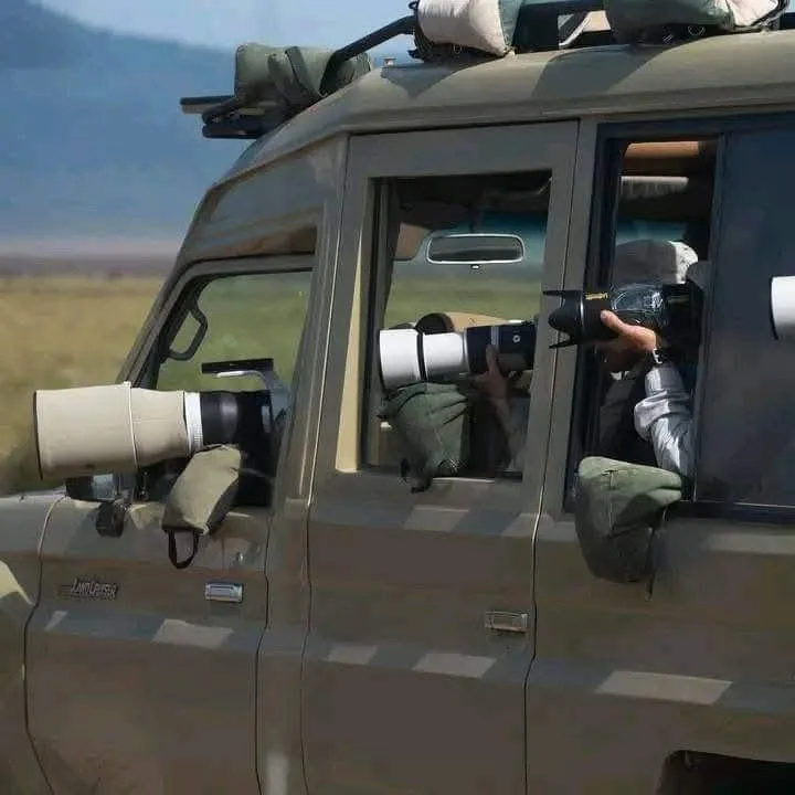 Safari photography