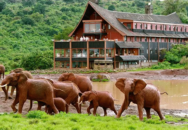 The Aberdare Ranges offer misty forests, waterfalls, and close-up wildlife encounters in tranquil mountain lodges.
