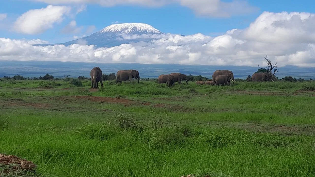mt.Kilimajaro_background