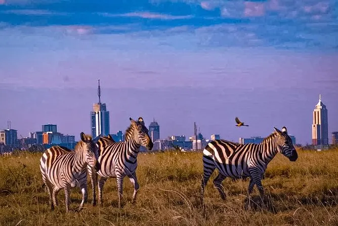 Nairobi Wildlife & Heritage Day Excursion