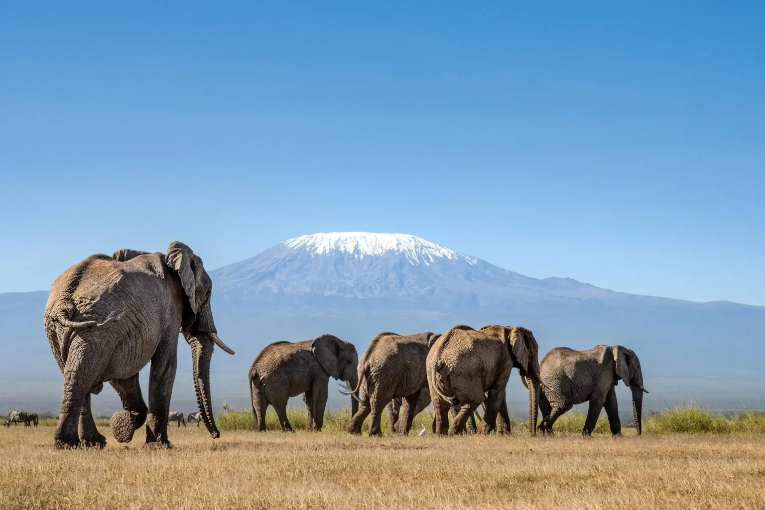 7 Days Classic Kenya Bush & Beach Safari
