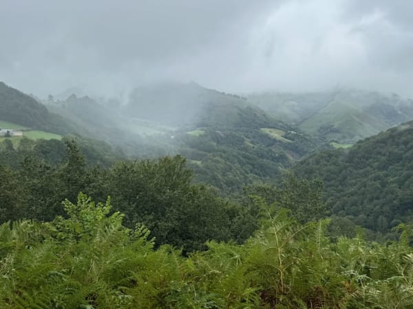 Photo J5