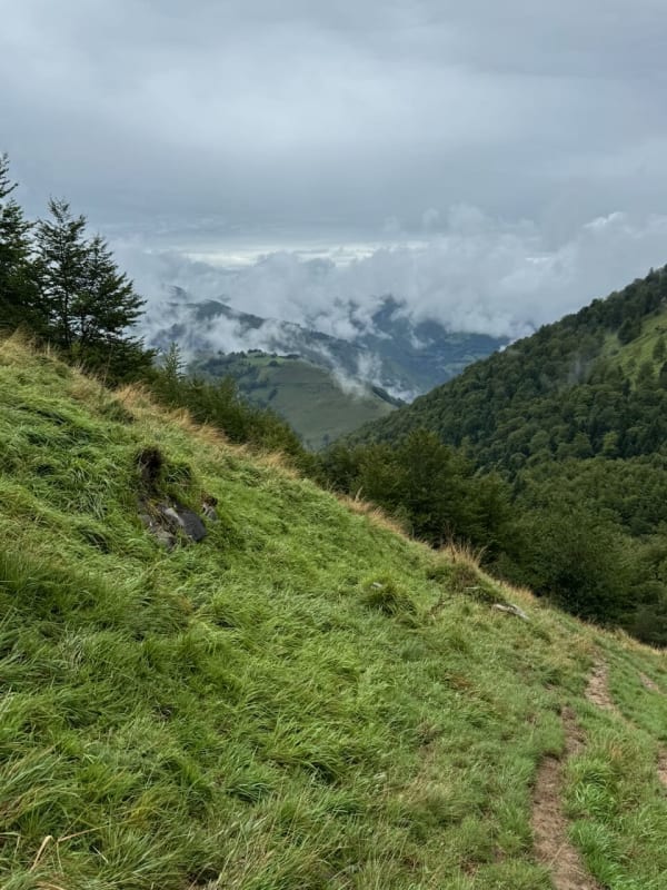 Photo J6