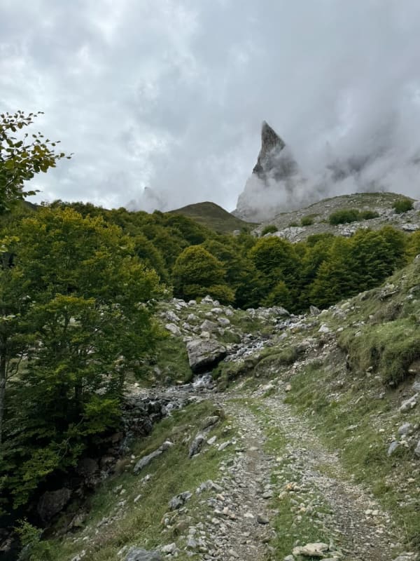 Photo J7