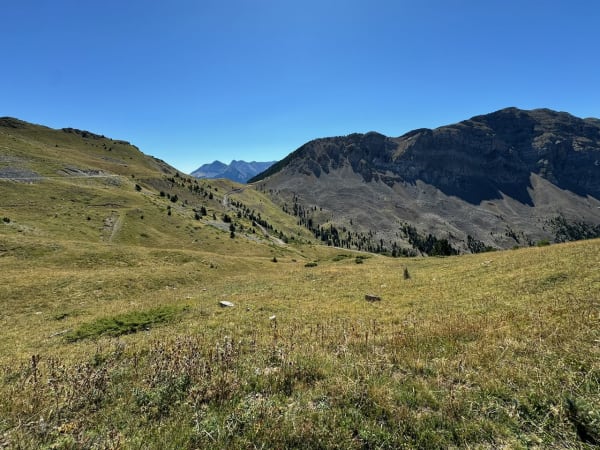 Photo J15