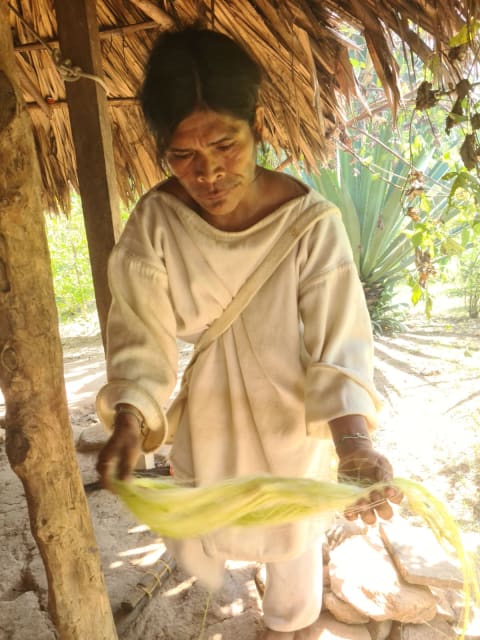 Ciudad Perdida / Kogui Alternatív – kép 1