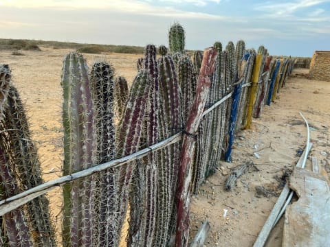 Alta Guajira Off-Road Túra – kép 12