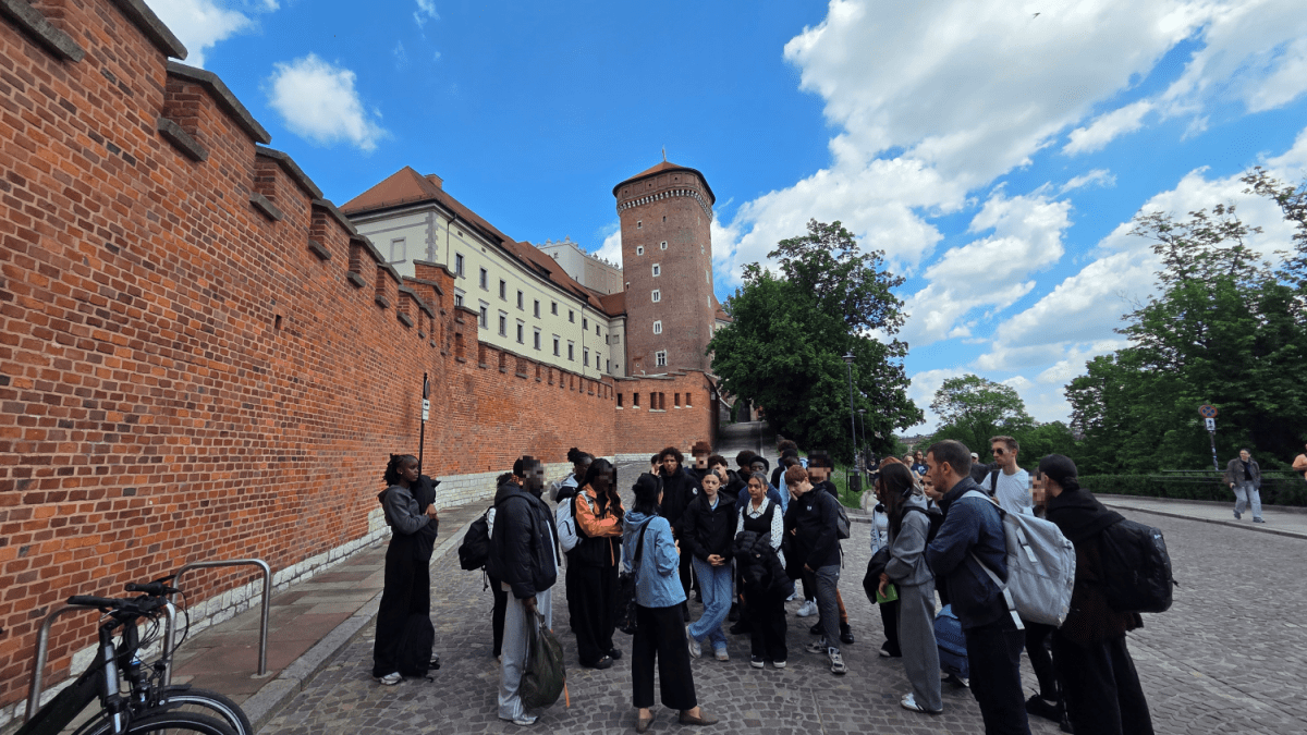 (02) Pologne Wawel