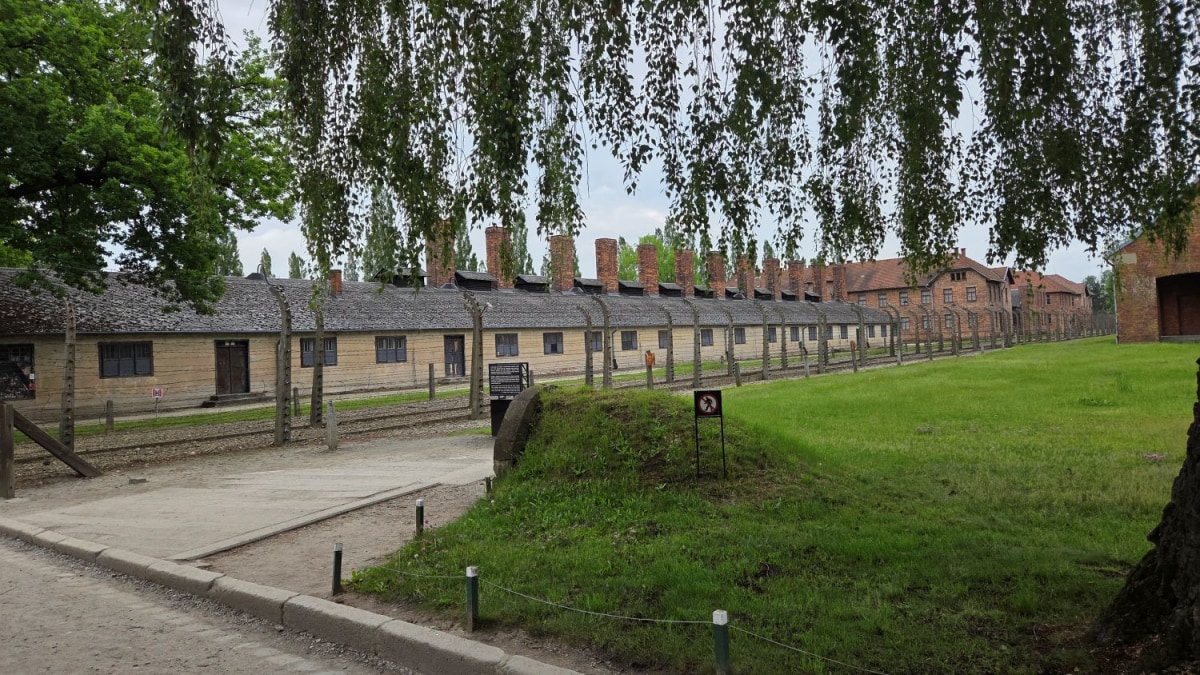 (08) Vue du camp de l'extérieur