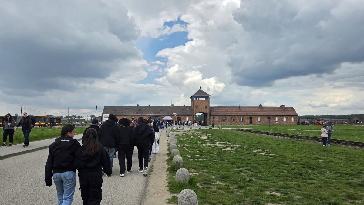(13) Arrivée Auschwitz II
