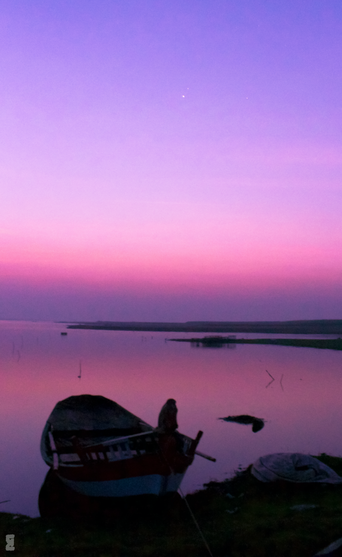 Birdwatching at Bhigwan - Flamingos and Moods of the Morning. Photography