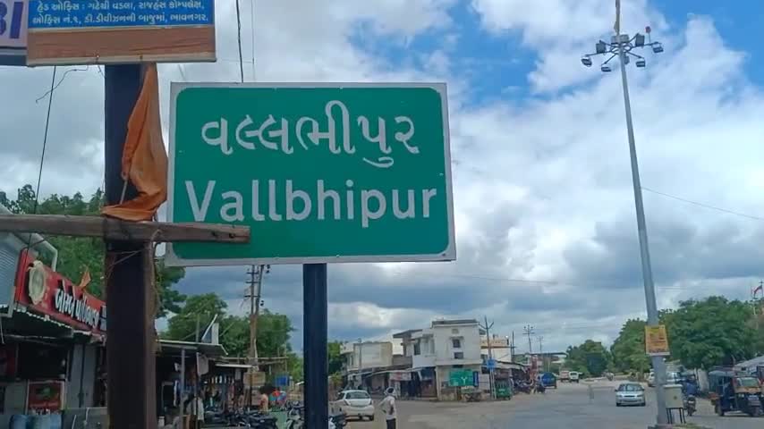 વલભીપુર APMCને CCI કોડ મળતા સીધી ખરીદી શક્ય, વર્ષો જૂની માંગ સ્વીકારાઈ.