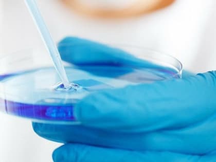 Законопроект об ужесточении ответственности за провоз патогенов в Россию внесен в Госдуму