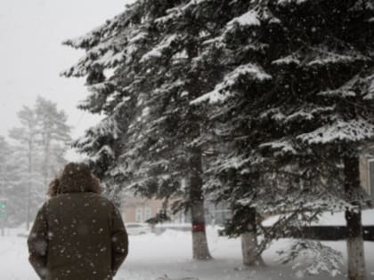1 февраля в календаре: Международный день десерта, Макарьев день