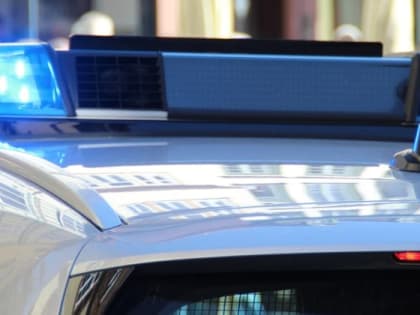 В Магадане полицейские патрульно-постовой службы раскрыли угон по горячим следам