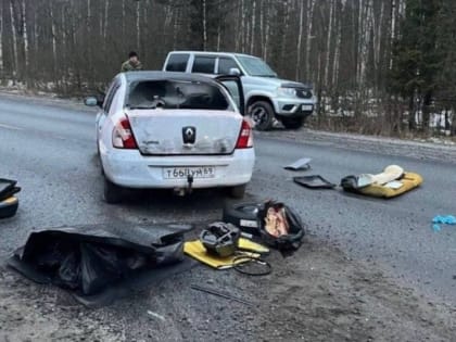 Путину сообщили об 11 задержанных по теракту в “Крокусе”