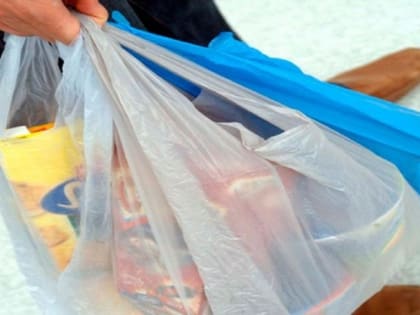 В Ольском районе задержан мужчина за похищение сумки с продуктами из рук пенсионерки