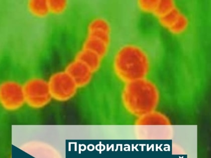 Профилактика пневмококковой инфекции