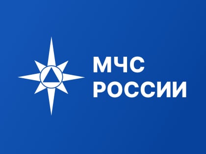 Денис Попов назначен статс-секретарем - заместителем Министра по делам гражданской обороны, чрезвычайным ситуациям и ликвидации последствий стихийных бедствий