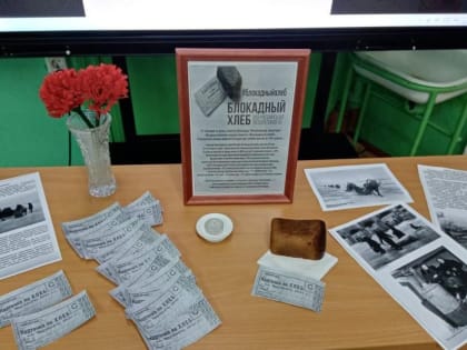 В Среднеканском округе «Единая Россия» организовала серию исторических мероприятий, посвященных 80-летию освобождения Ленинграда от фашистской блокады