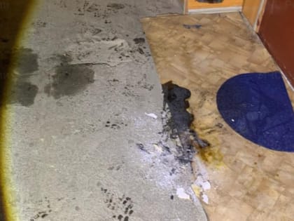 Конфликт между соседями стал причиной пожара в доме Магадана