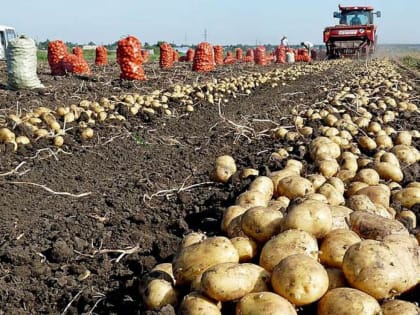 Поддержка малых форм хозяйствования в России