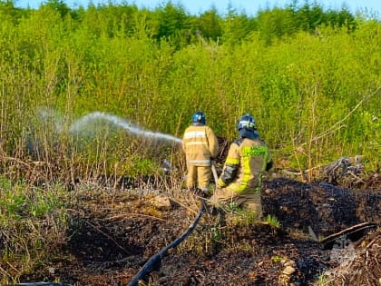 В Магадане пожарные защитили от огня лесной массив на улице Дорожной