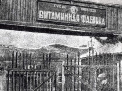 История витаминной лаборатории в Магадане