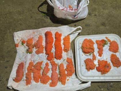 Преступления в Магадане: незаконный вылов рыбы и кража велосипеда