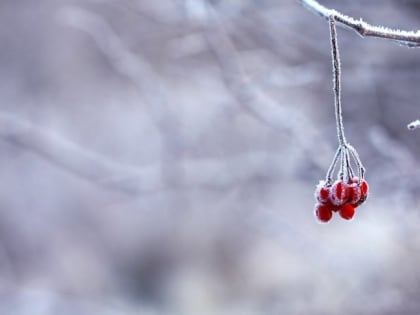 В Магадане в субботу до –18 градусов и без осадков