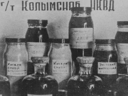 9 апреля 1935 года при витаминной лаборатории Сануправления начали изготовлять экстракт из кедрового стланика.