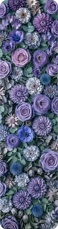 Cool & Serene palette